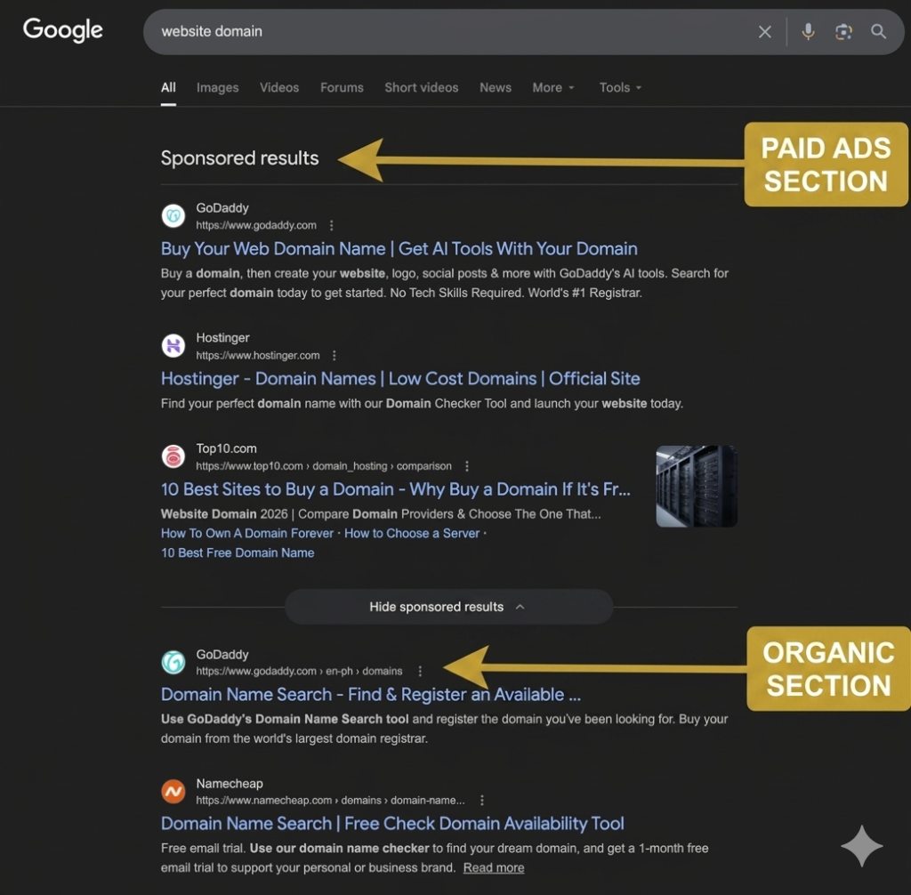 Google search results showing organic listings vs paid ads